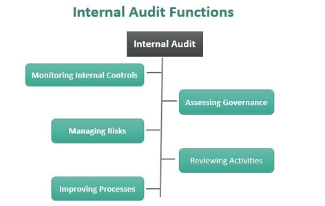 Management Control and Audit 2