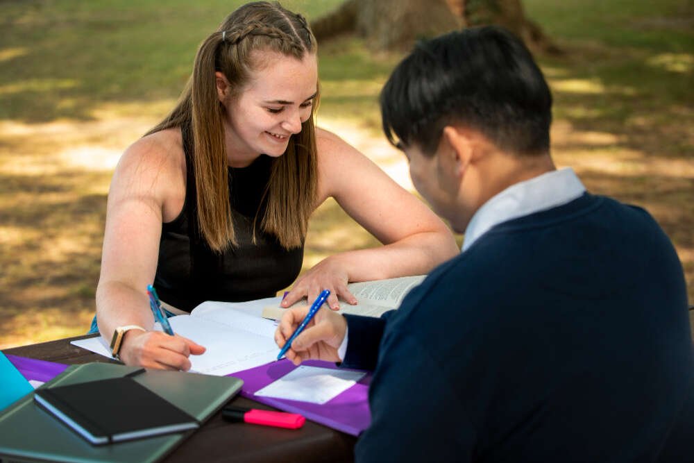 assignment-writing-in-new-zealand