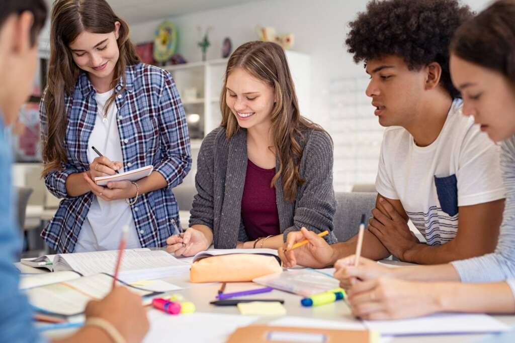 best assignment help in Ireland